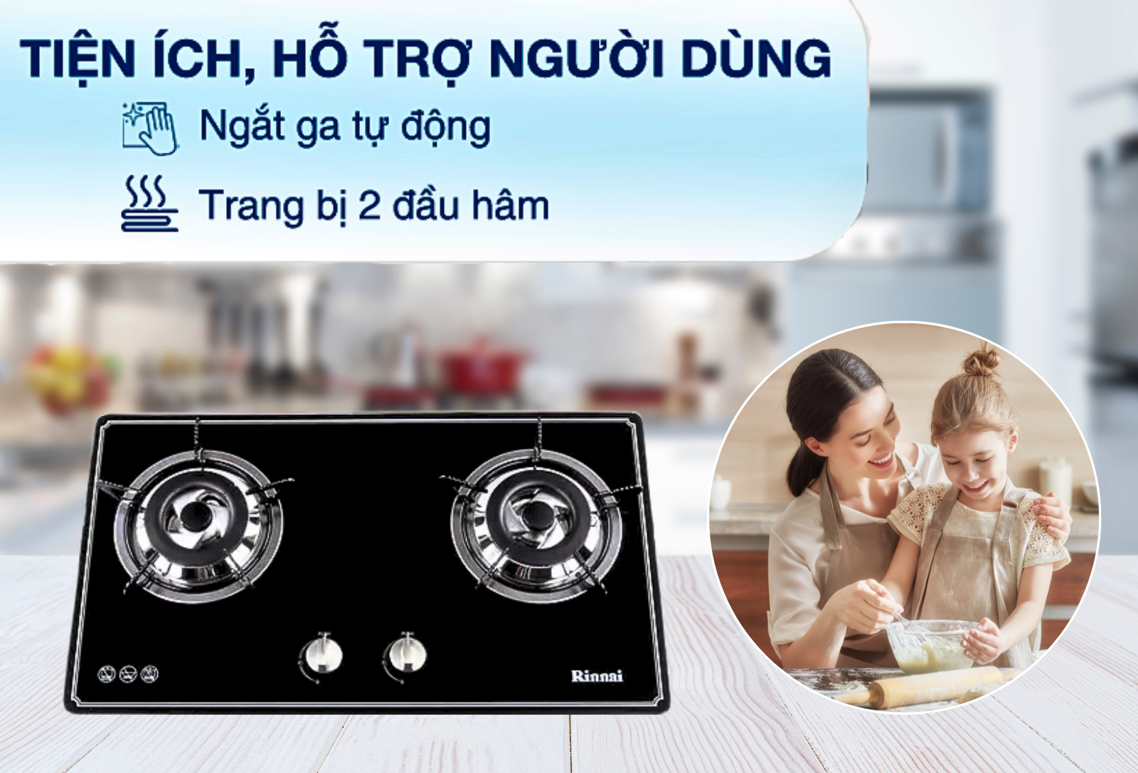 Bếp Gas Bình Minh Rinnai RVB 2BG FN