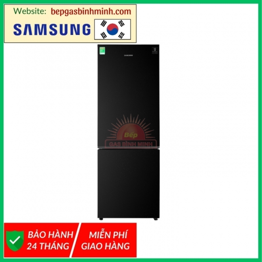 Tủ lạnh Samsung Inverter 310 lít RB30N4010BU/SV